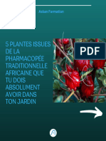 5 Plantes Médicinales Africaines À Cultiver Chez Toi-1