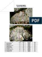 Topo Tichodromes Secteur Découverte