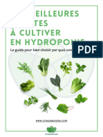 Meilleures Plantes Cultiver Hydroponie