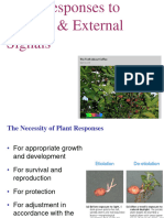 Plant Response - BB - Final