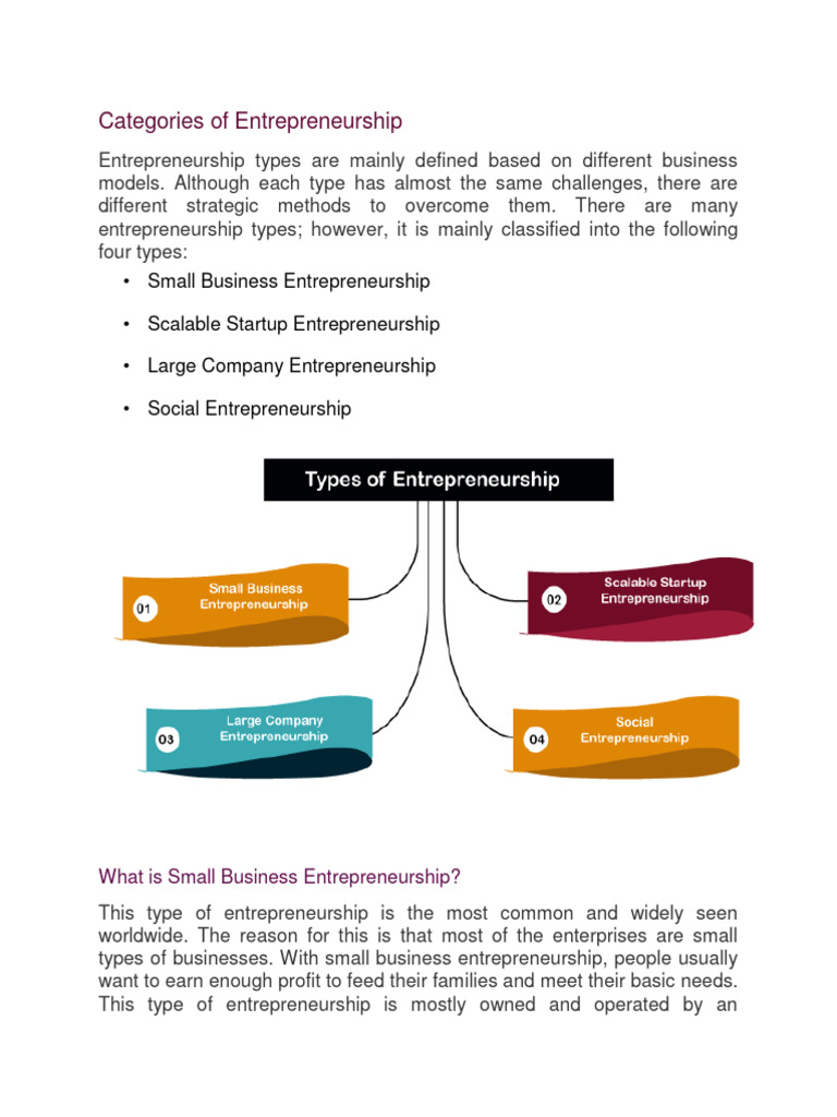Types of Entrepreneurship Explained | PDF | Entrepreneurship | Social ...