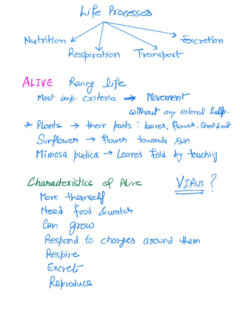 Biology Life Process Notes | PDF | Science & Mathematics