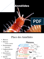 Annélides (PDFDrive)
