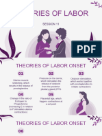 Ob Lec - Theories of Labor