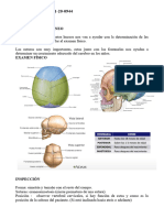 Resumen Semiología de Cabeza y Cuello