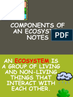 Components of An Ecosystem Not