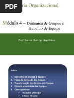 Estrutura e Funcionamento Dos Grupos