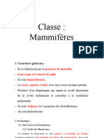 Mammifères Et Echinodermes