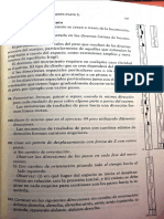 Acciones Básicas Del Esfuerzo