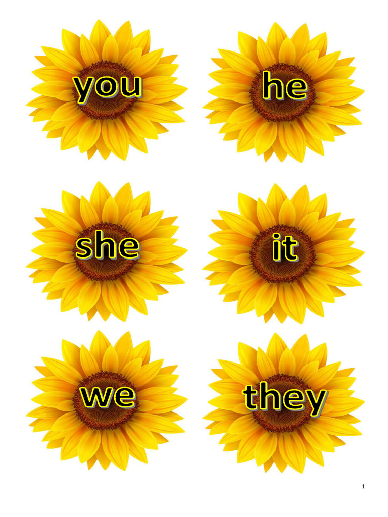 Image Result For What Is The Pronoun Of Flowers Answers