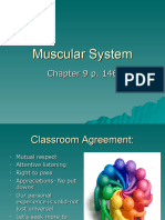 Week 6 Muscular System Students