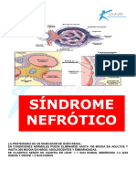 TEMA 7. Infecciones Del Tracto Urinario. Litiasis Renal OK