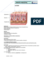 Tema 18 Dermatologia