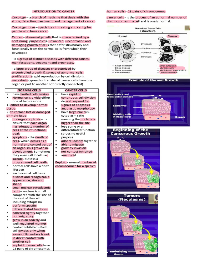 Fast-Growing Peripheral Lung Cancer | PDF
