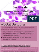 Lucrare de Laborator-Citologie