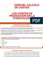 APLICACIÓN DE CÁLCULO DE COSTOS - Medio Curso - COSTOS DE PRODUCCIÓN EN LA FORESTACIÓN