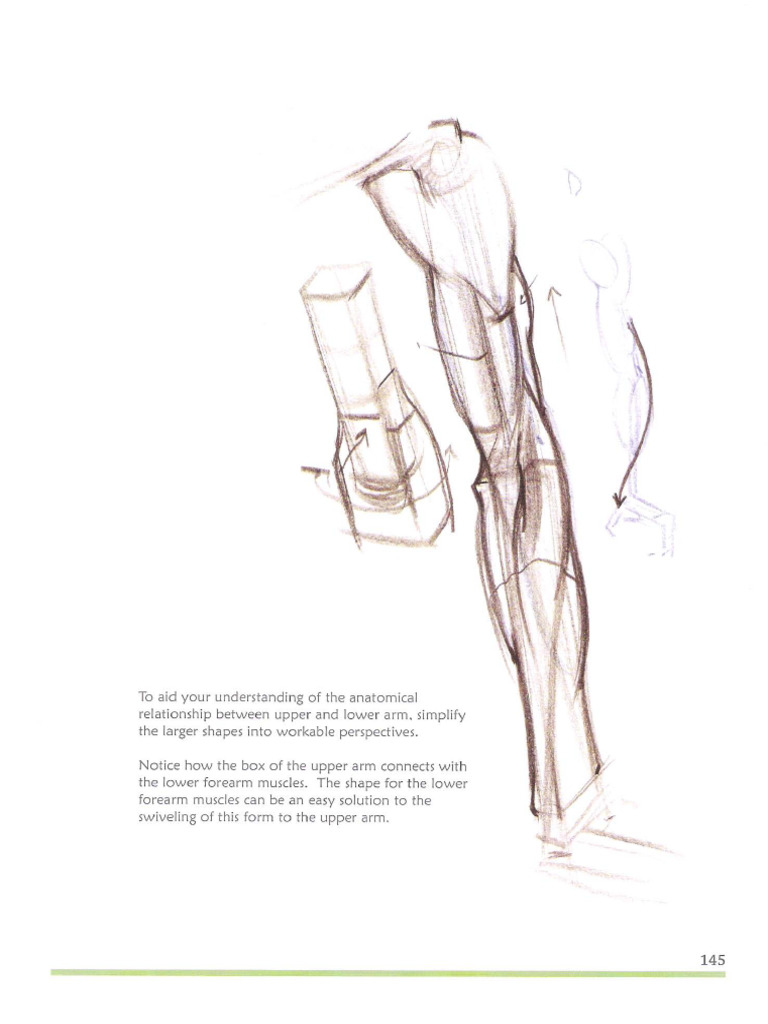 Michael Hampton Figure Drawing Design and Invention 1 (151 180) | PDF