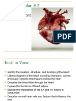 Week 7 Anatomy of The Heart Student