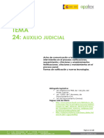 Tema 24