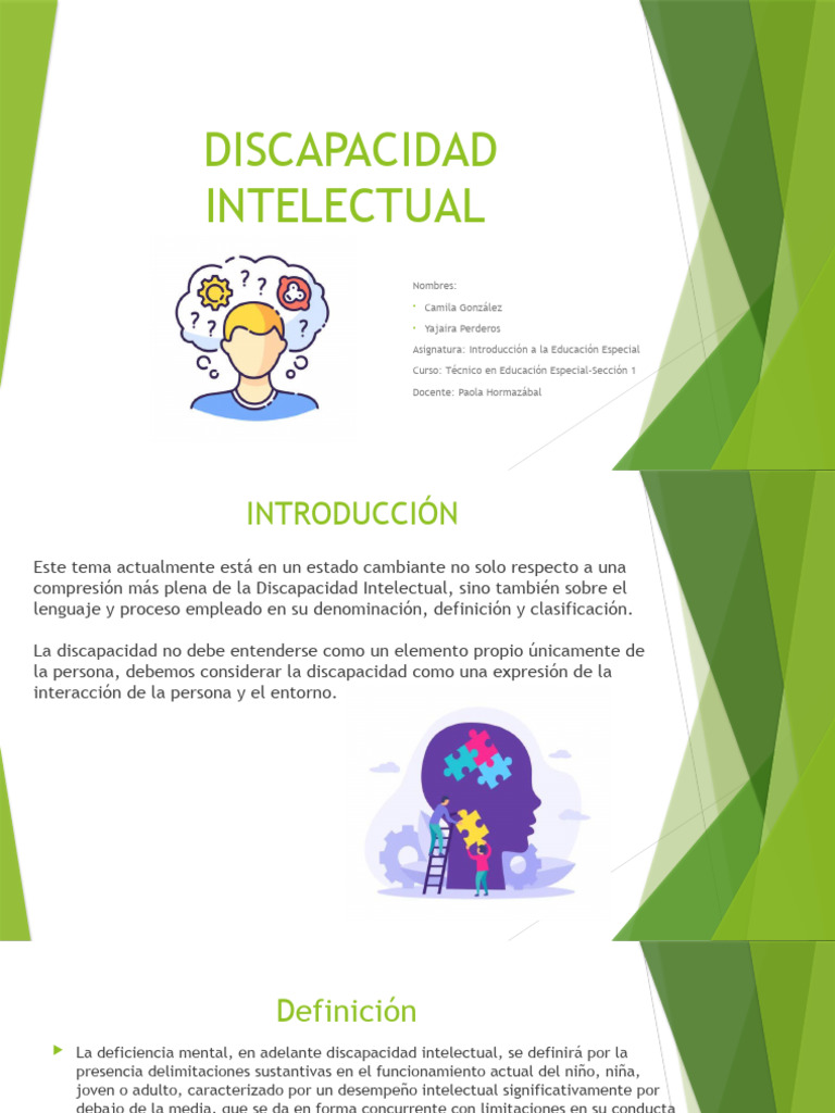 Definición y Tipos de Discapacidad Intelectual | PDF | Discapacidad ...
