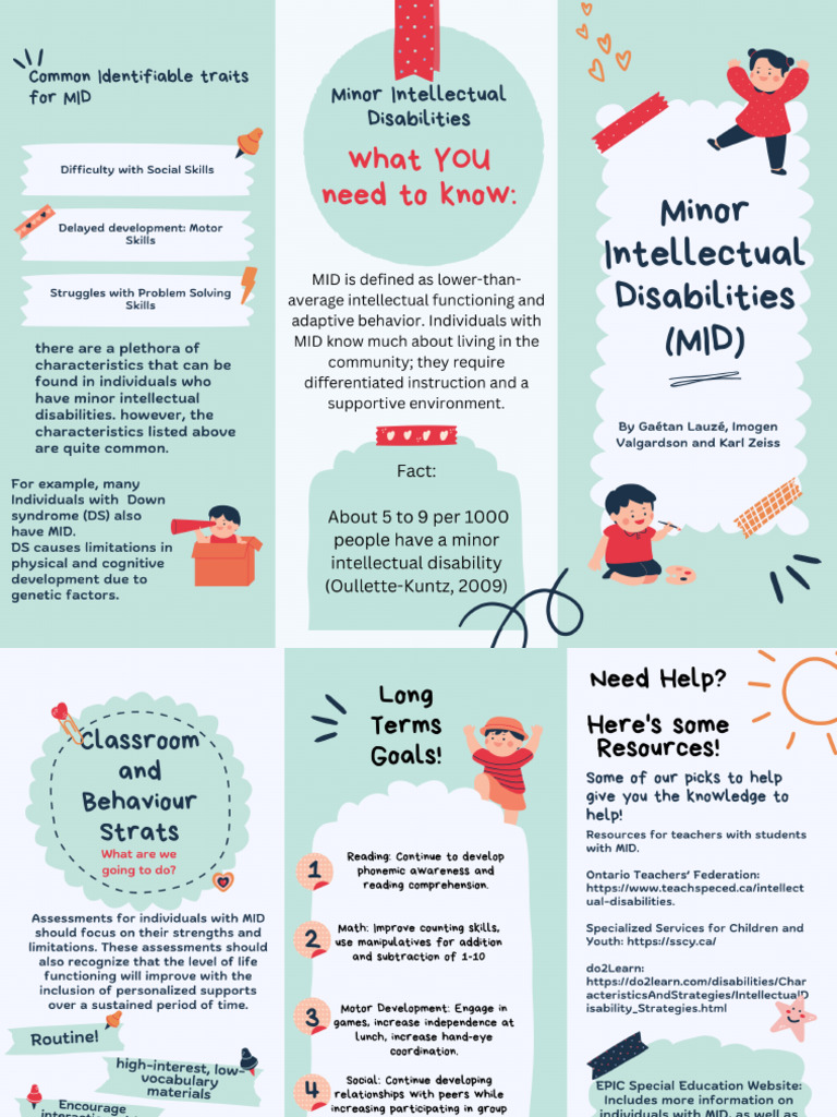 Minor Intellectual Disabilities | PDF