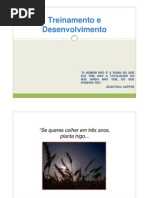 Treinamento e Desenvolvimento