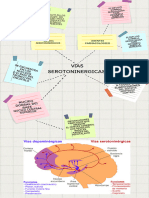 Mapa Mental 1