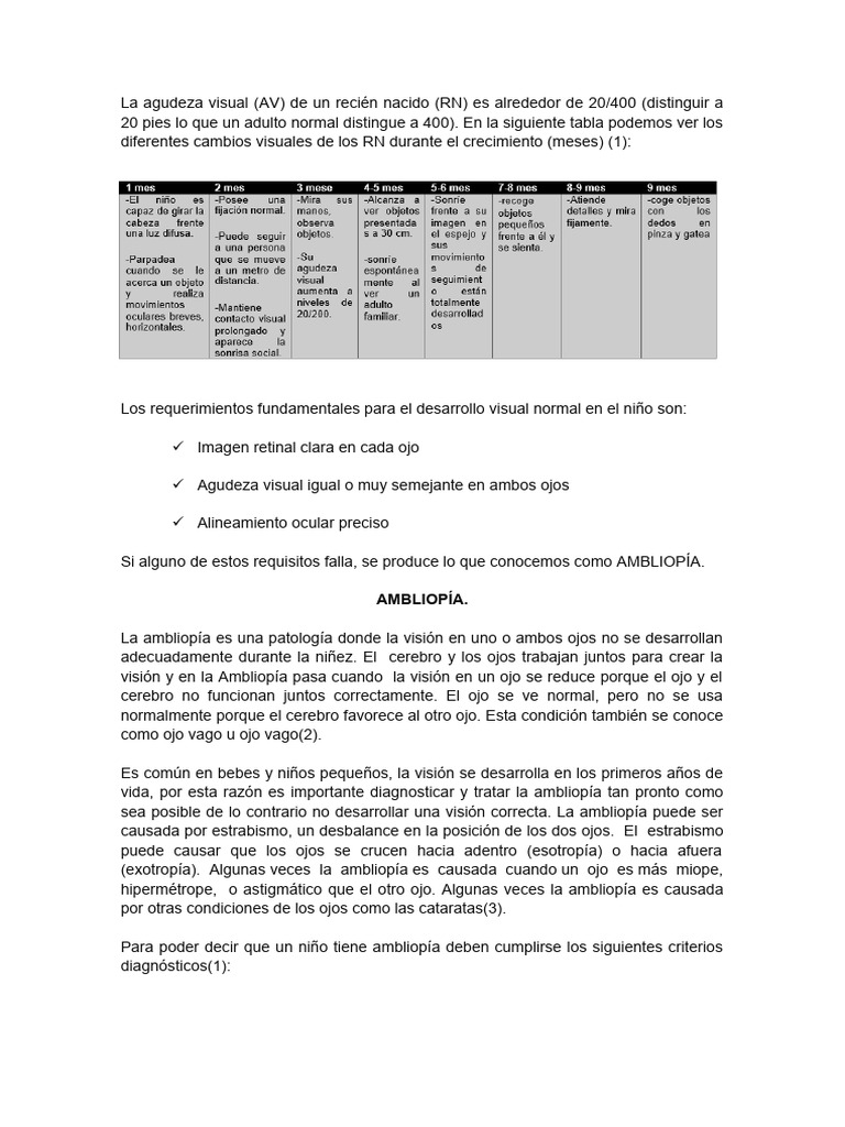 La Agudeza Visual PDF