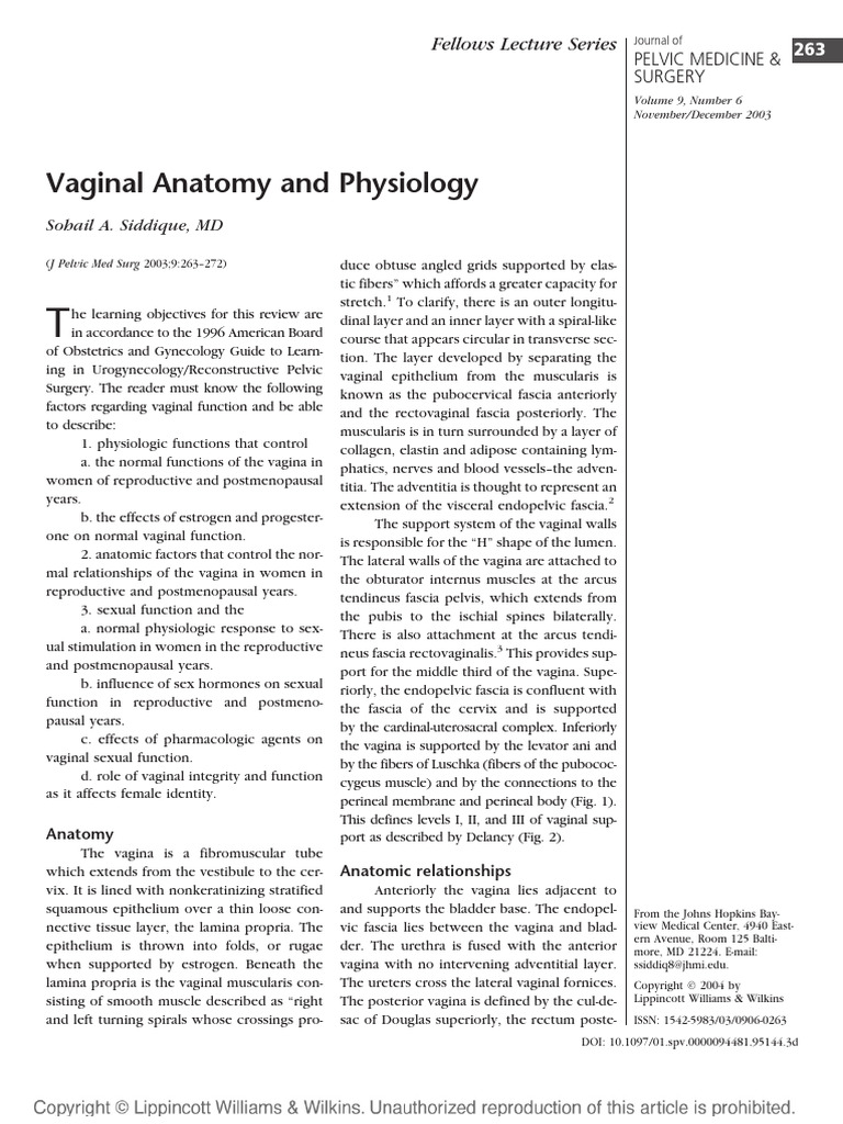 Google visual data 4