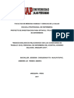 Riesgos Biologicos Relacionado Con Las Condiciones de Trabajo en El Personal de Enfermeria Del Hospital Honorio Delgado, Arequipa 2014