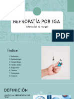 Nefropatía Por Iga