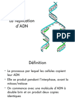 Replication de l'ADN (1) - 020827