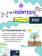 La Fotosíntesis