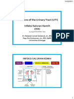 Microbiology of The Kidneys and Urinary System