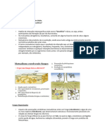 Ecologia de Fungos - Resumo Da Aula 'Fungos Mutualistas'