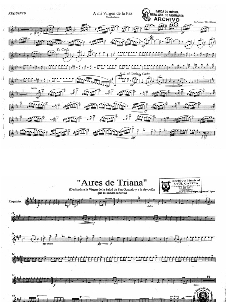 Requinto | PDF