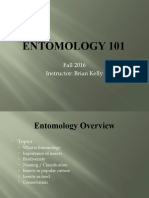 Entomology Overview
