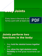 Body Joints