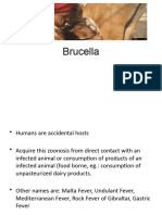 Brucella Presentation To Upload