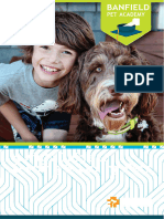 A Kids Guide To Owning Loving Pets English