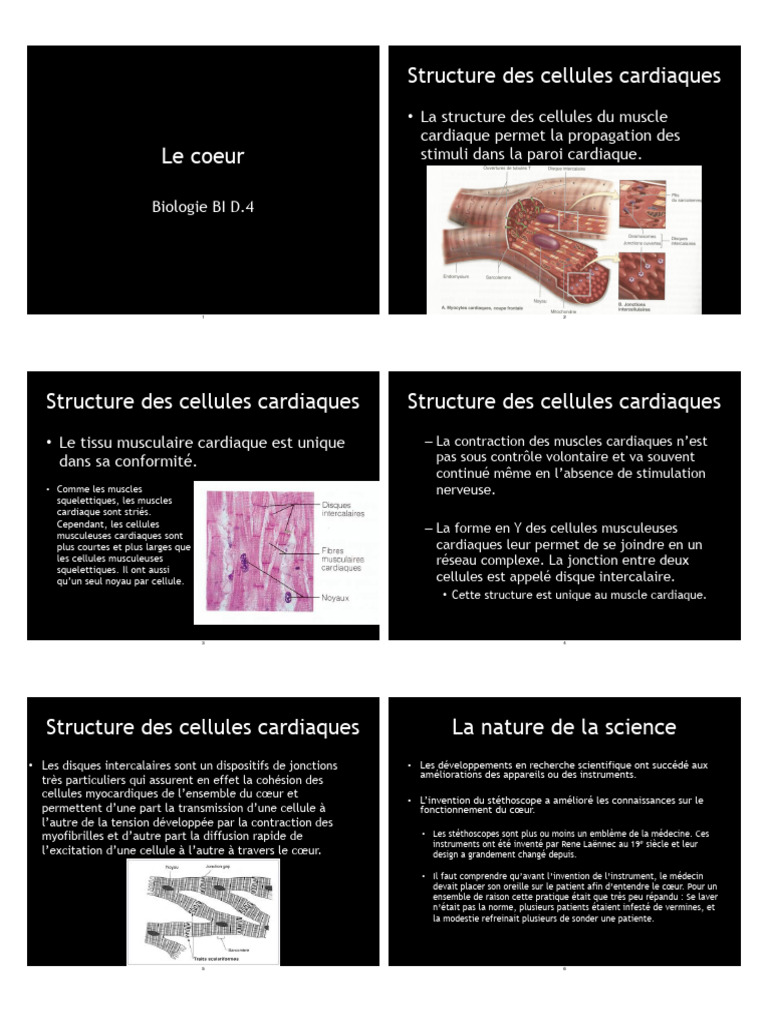 Structures Des Cellules | PDF