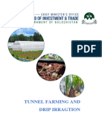 Tunnel Farming and Drip Irrigation System