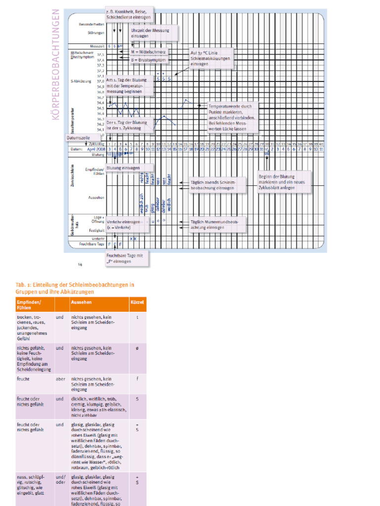 NFP - Informationen | PDF