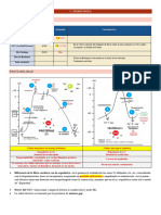 Fisiología Cardiovascular