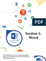 MS Word