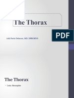 Anatomy of Thorax