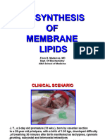 Biosynthesis of Membrane Lipids