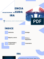 Insuficiencia Renal Aguda IRA: Katherine Lisseth Orozco Zepeda