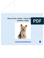 How To Train A Yorkie - 4 Easy Tips To Train A Yorkshire Puppy