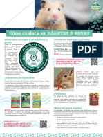 Hamster Gerbil Care Guide Aug 2022 SP